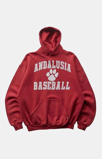 PS VINTAGE 2000s Andalusia Baseball Russell Hoodie
