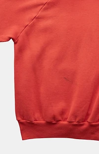 PS VINTAGE 80s Denali National Park Alaska Pullover Hoodie