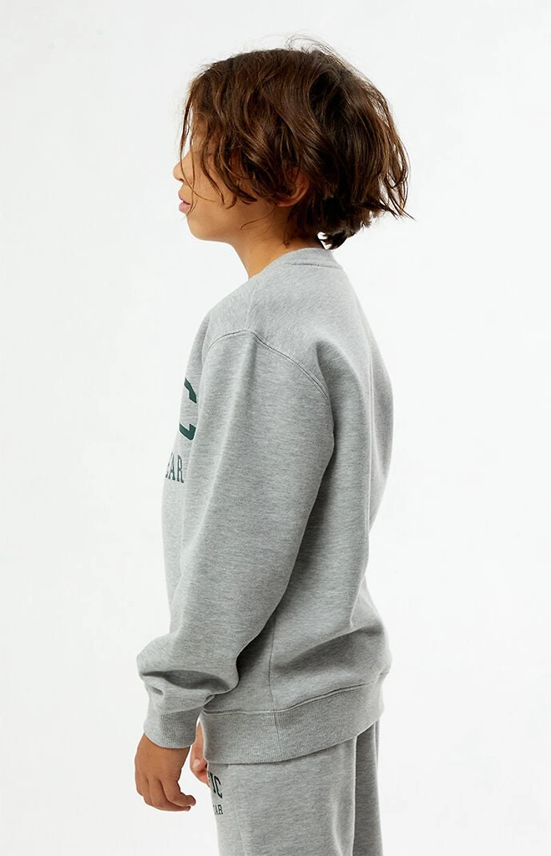 Pacsun Kids Heather Grey Crew Neck Sweatshirt