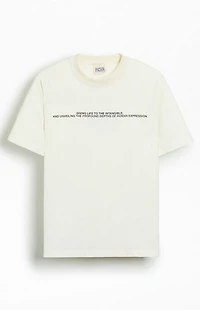 Pacsun Pacific Sunwear Depths Oversized T-Shirt