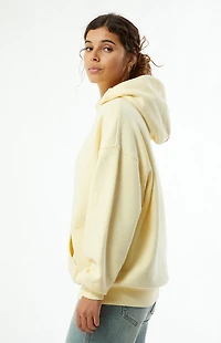 Pacsun Ultra Soft Fleece Core Washed Pullover Hoodie