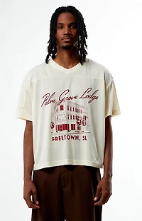 Pacsun Palm Grove Mesh Jersey T-Shirt