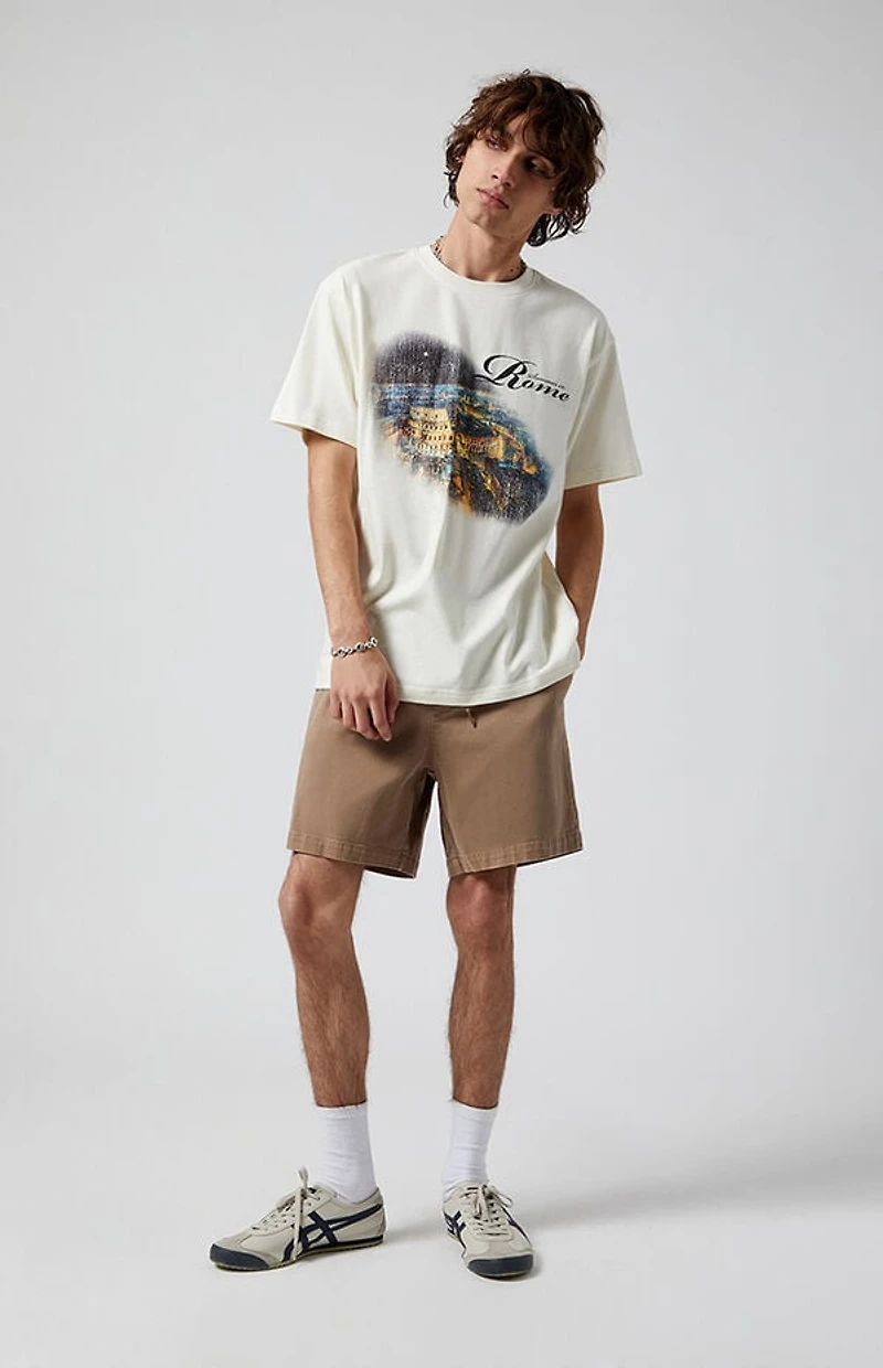 Pacsun Desert Taupe Volley Shorts