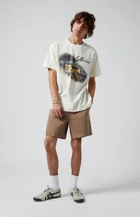 Pacsun Desert Taupe Volley Shorts