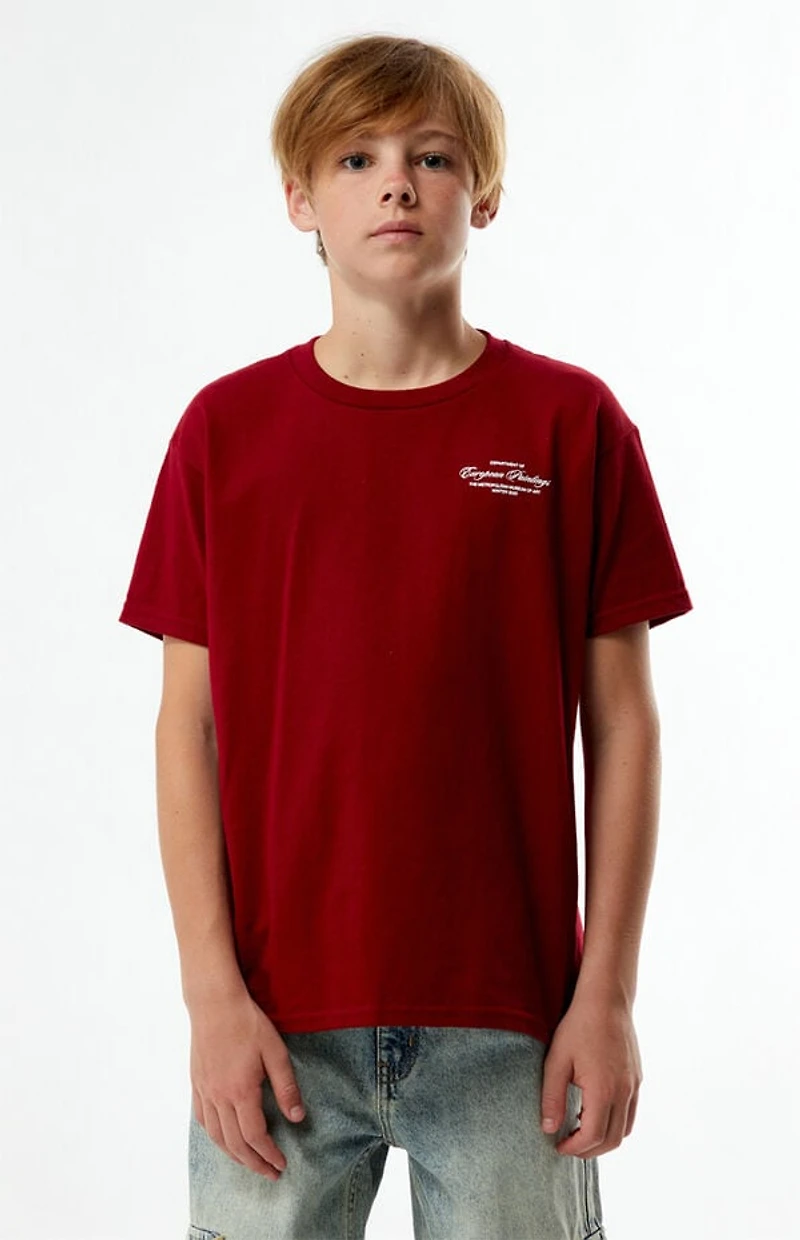 The Met x Pacsun Kids Burgundy Curatorial T-Shirt
