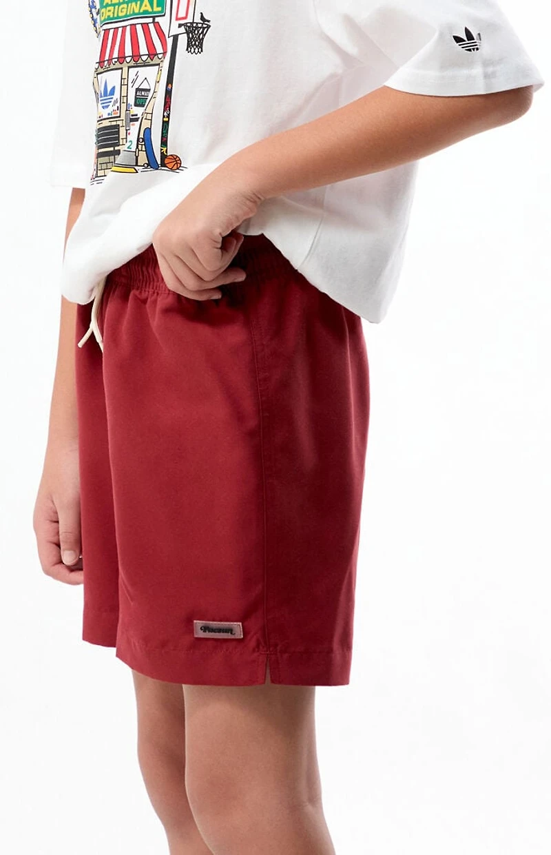 Pacsun Kids Solid 4.5" Swim Trunks