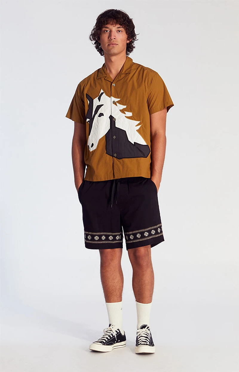 Pacsun Black Floral Embroidered Volley Shorts