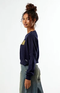 HYPE & VICE Michigan Wolverines Ivy Knit Cropped Sweater