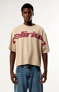 Pacsun Delirium Drop Shoulder T-Shirt