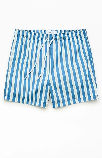 Pacsun Blue Resort Striped 4.5" Swim Trunks