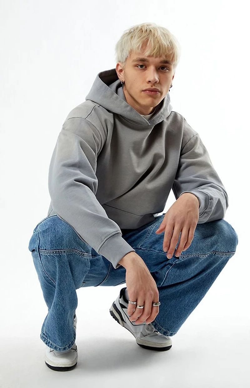 Pacsun Gray Potassium Hoodie