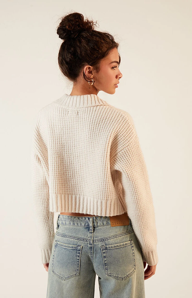 LA Hearts Gabriela Waffle Knit Collared Sweater