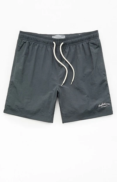 Pacsun Collegiate 6.5" Swim Trunks