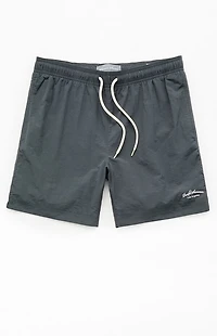 Pacsun Collegiate 6.5" Swim Trunks