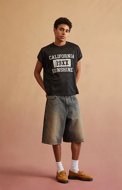 RARE DNM EDIT Dark Blue Tinted Clip Baggy Denim Shorts