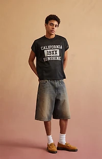 RARE DNM EDIT Dark Blue Tinted Clip Baggy Denim Shorts