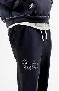 Pacsun Washed Terrain Straight Leg Sweatpants