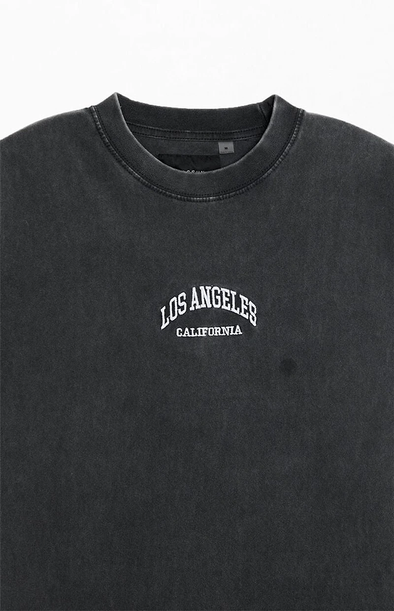 Pacsun Los Angeles Embroidered Premium Vintage Wash T-Shirt