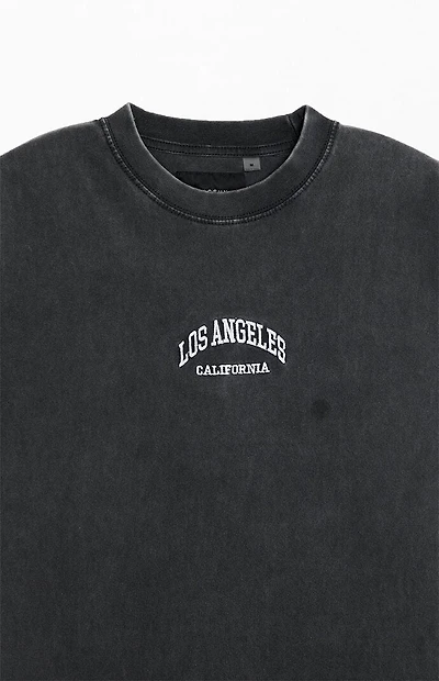 Pacsun Los Angeles Embroidered Premium Vintage Wash T-Shirt