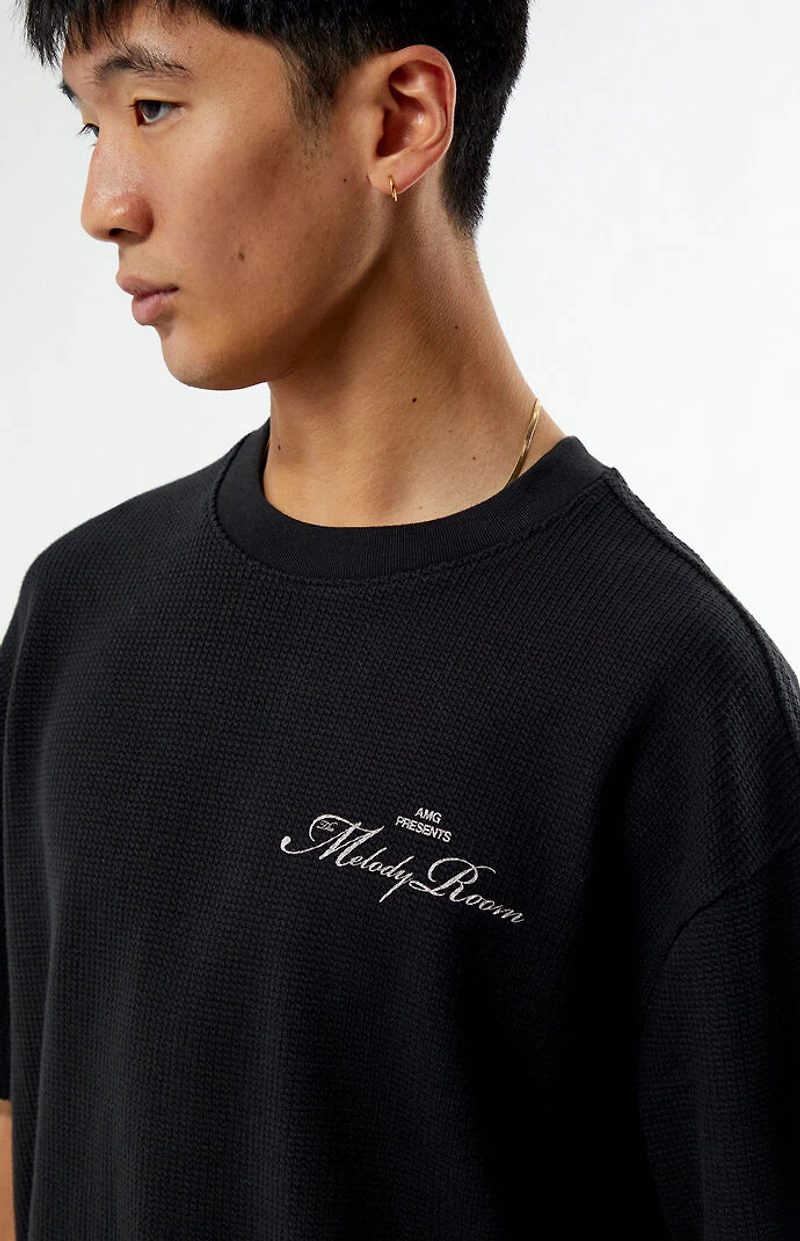 Pacsun Melody Room SF Waffle Knit T-Shirt