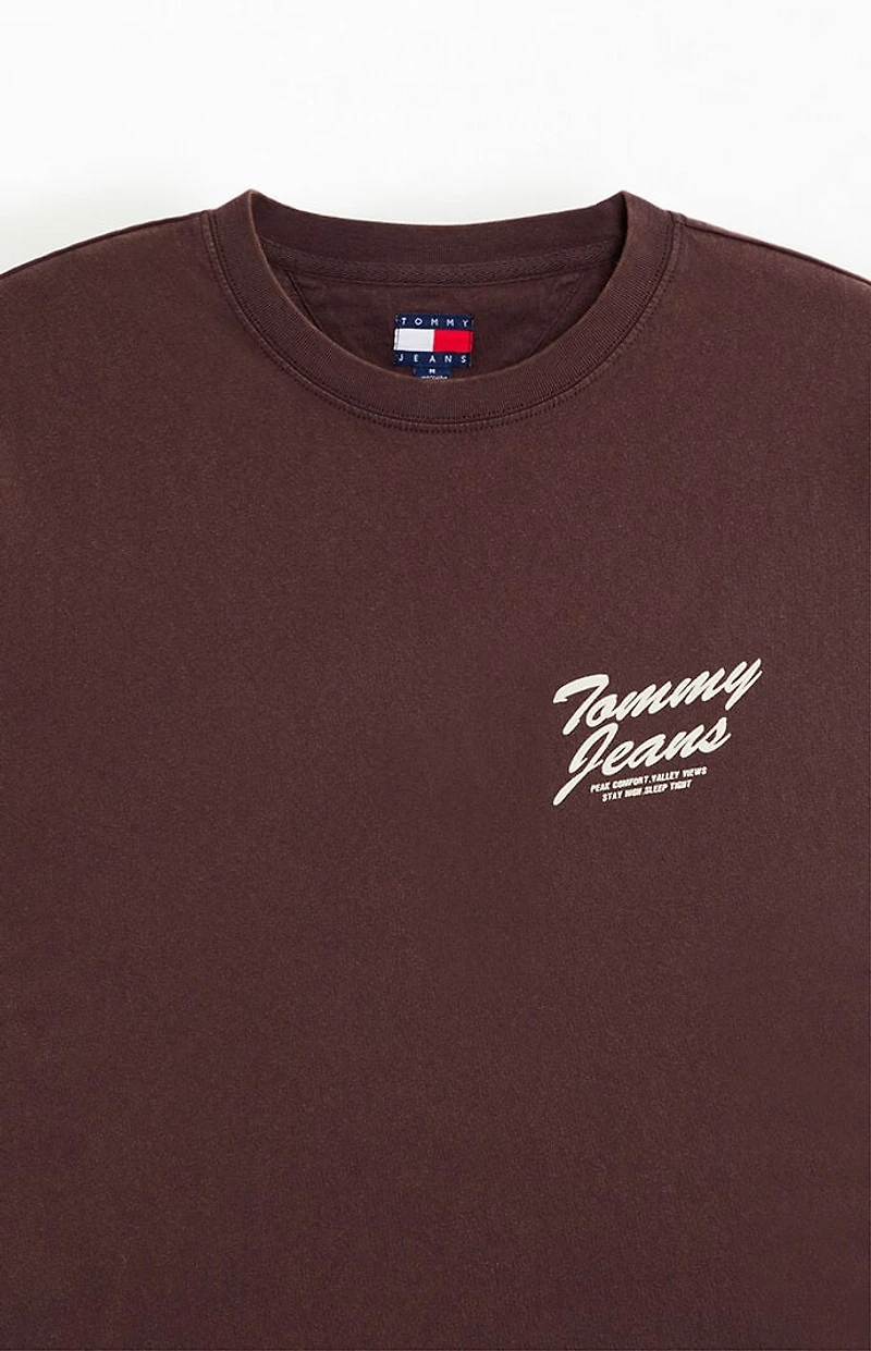 Tommy Jeans Novelty T-Shirt