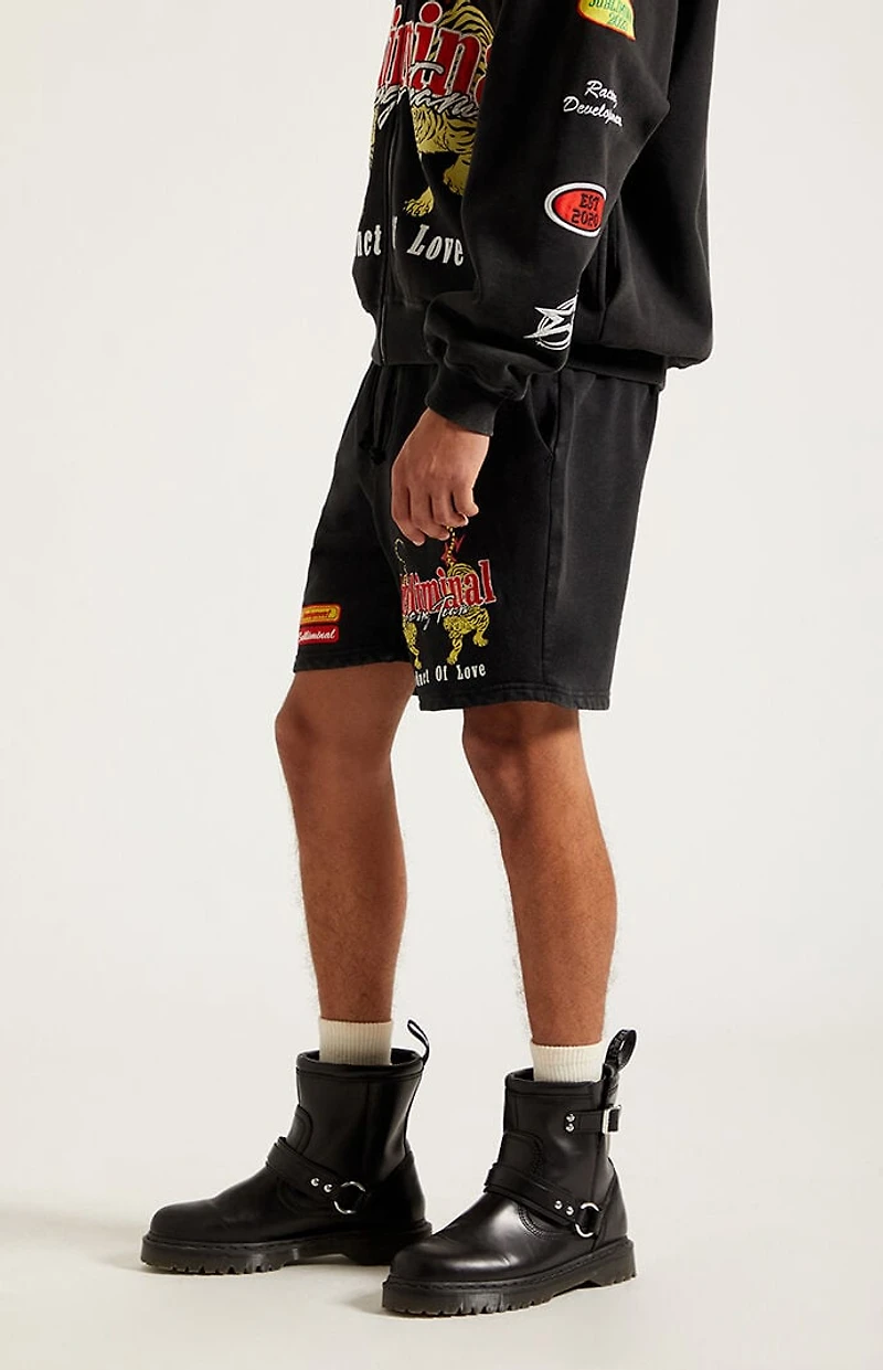 Pacsun Subliminal Fleece Volley Sweat Shorts