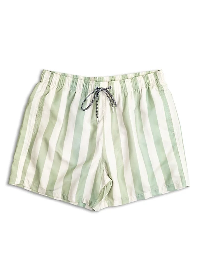 Boardies Fistral Stripe 4.7" Swim Trunks