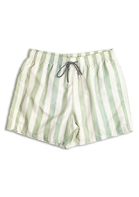 Boardies Fistral Stripe 4.7" Swim Trunks
