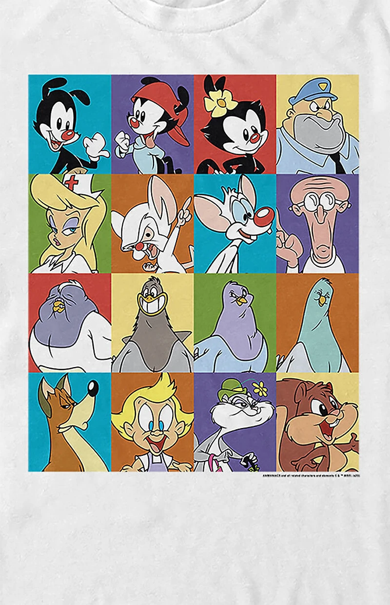 Animaniacs Character Boxes T-Shirt