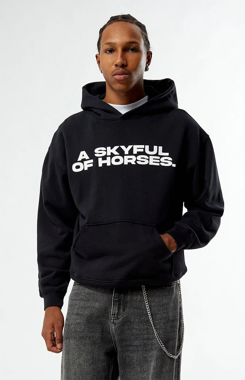 Pacsun Pac Artist Network x Randy Perez Skyful Hoodie
