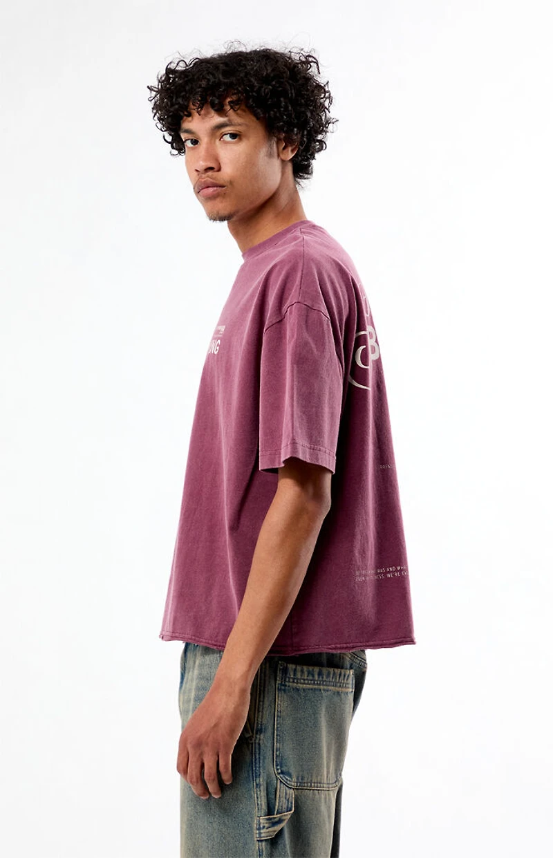 Pacsun Still Becoming Cropped Boxy T-Shirt
