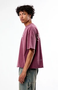 Pacsun Still Becoming Cropped Boxy T-Shirt