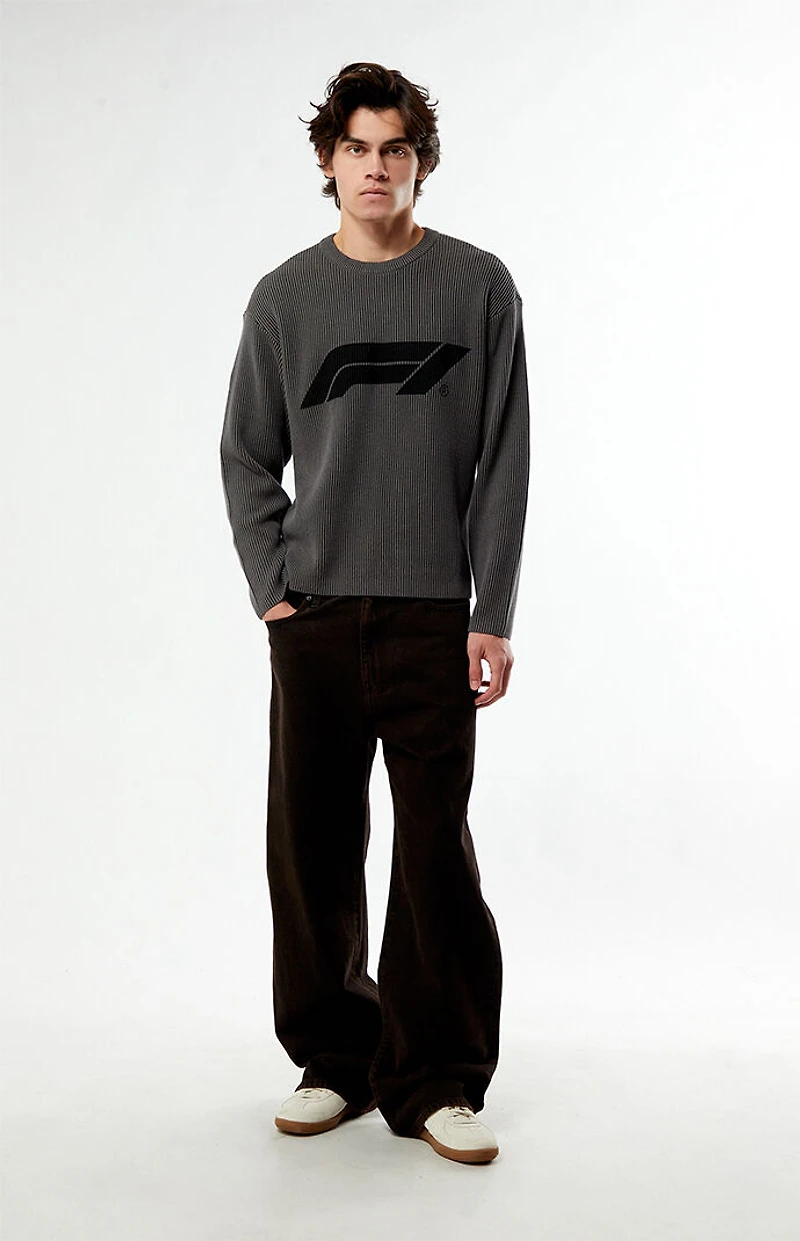 Formula 1 x Pacsun Ribbed Knit Crew Neck Sweater