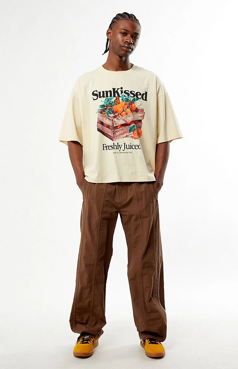 Pacsun Sunkissed Cropped Boxy T-Shirt