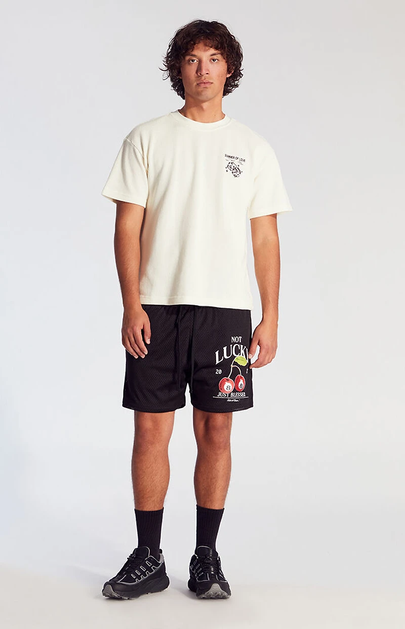 Pacsun Cherry Mesh Shorts