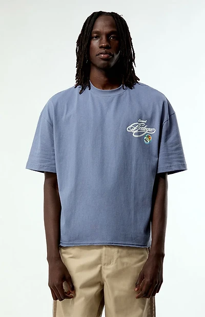 Pacsun Bodega Applique Cropped Boxy T-Shirt