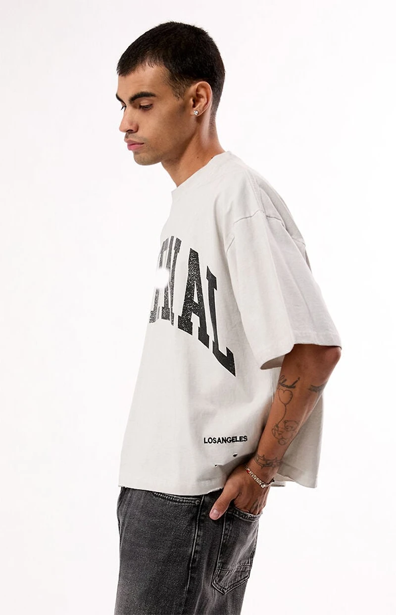 Pacsun Eternal Ripped Cropped T-Shirt