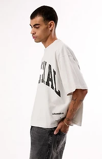 Pacsun Eternal Ripped Cropped T-Shirt