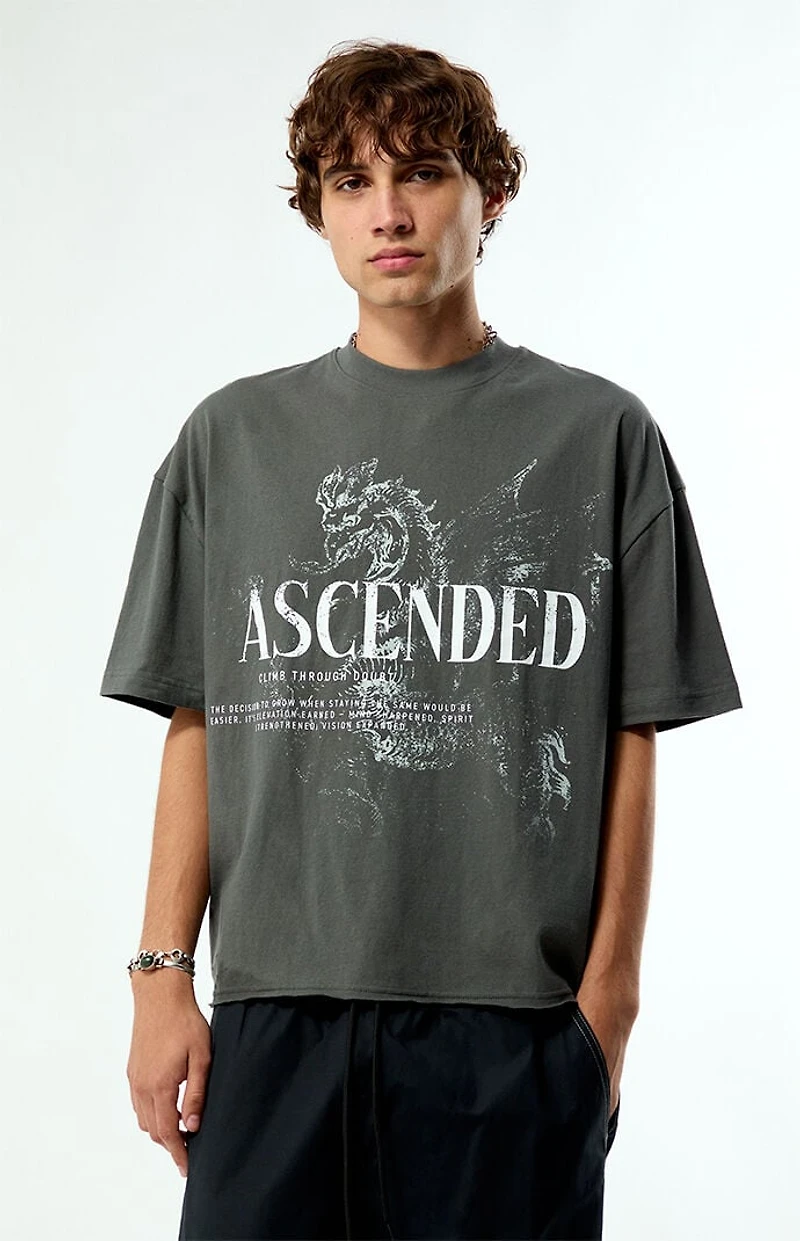 Pacsun Ascended Cropped Boxy T-Shirt