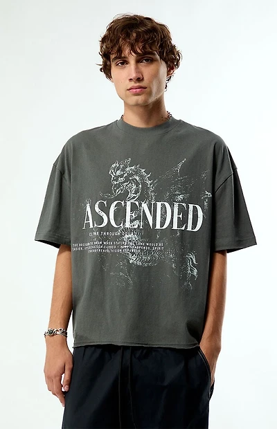 Pacsun Ascended Cropped Boxy T-Shirt