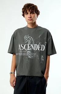 Pacsun Ascended Cropped Boxy T-Shirt