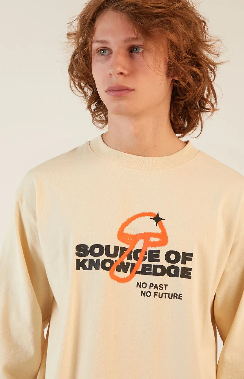 Pacsun Source Of Knowledge Long Sleeve T-Shirt