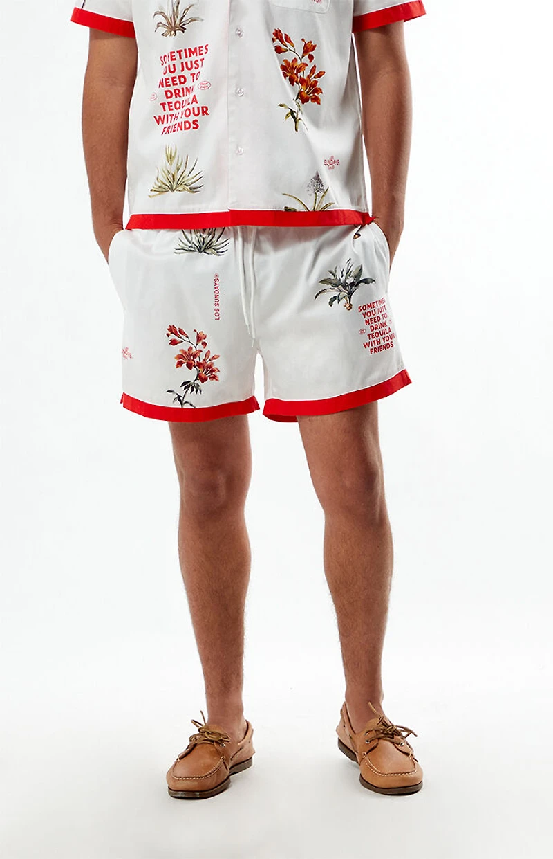 Los Sundays Sometimes 5" Swim Trunks