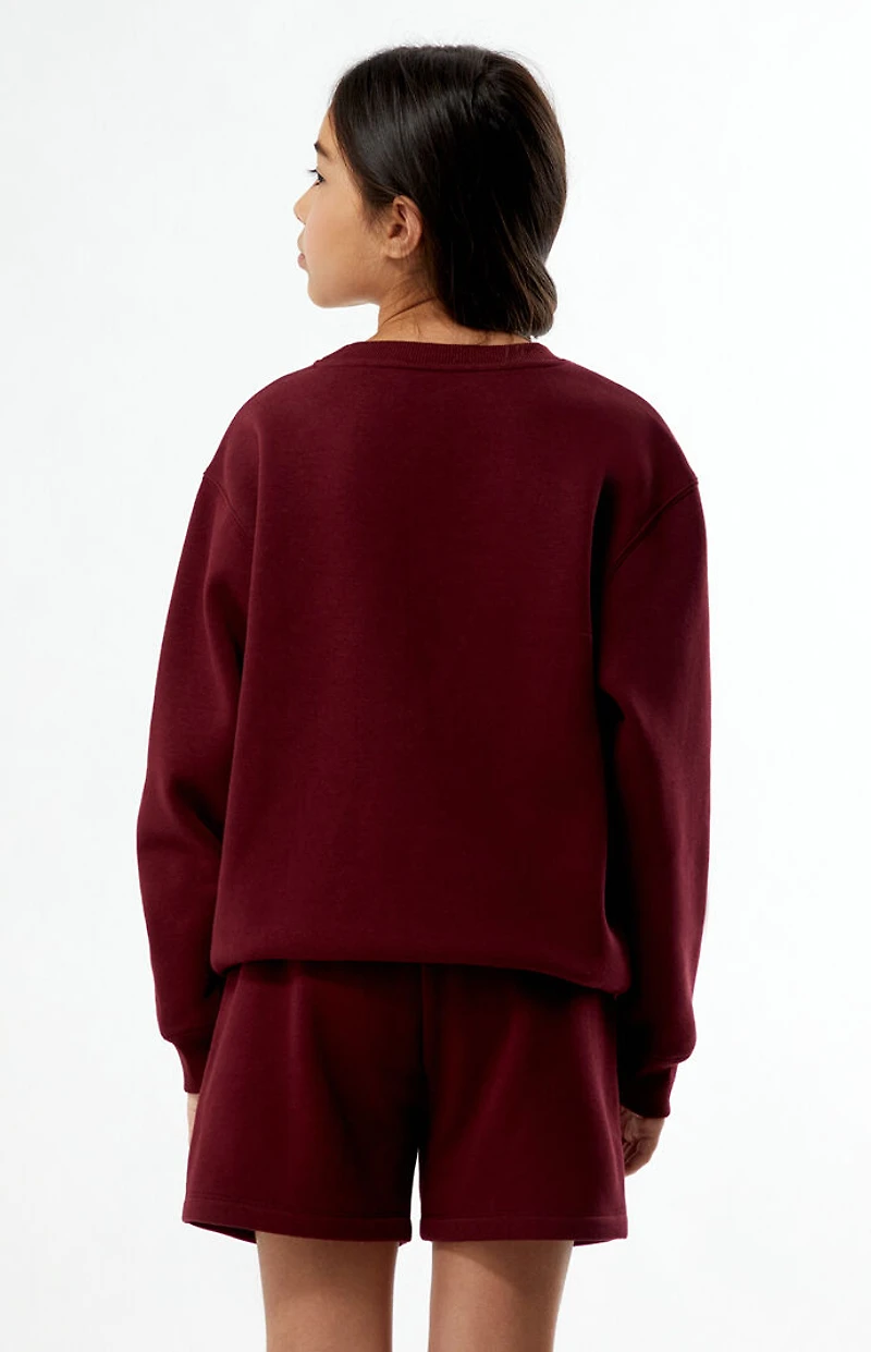 Pacsun Kids Maroon Plaid Star Embroidered Sweat Shorts