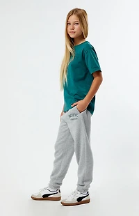 Pacsun Kids Heather Grey Pacific Sunwear Sweatpants