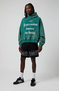 Pacsun Black Aaron Paisley Embroidered Mesh Volley Shorts