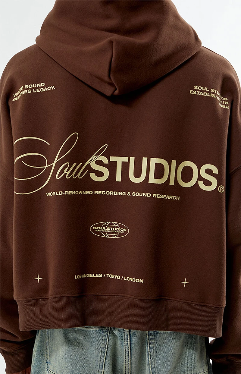 Pacsun Soul Studios Cropped Hoodie