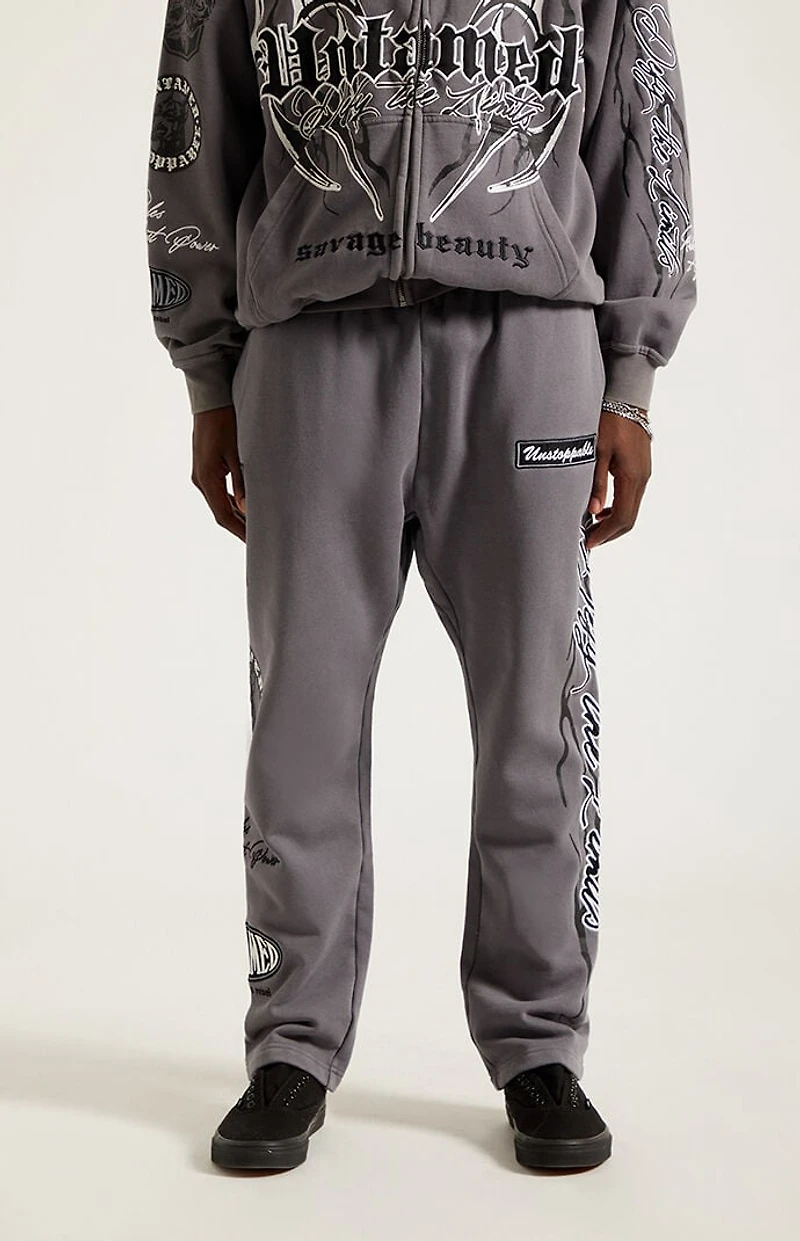Pacsun Untamed Fleece Straight Leg Sweatpants