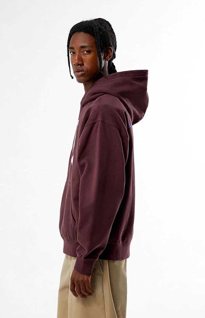 Obey Bad Seeds Faded Hoodie