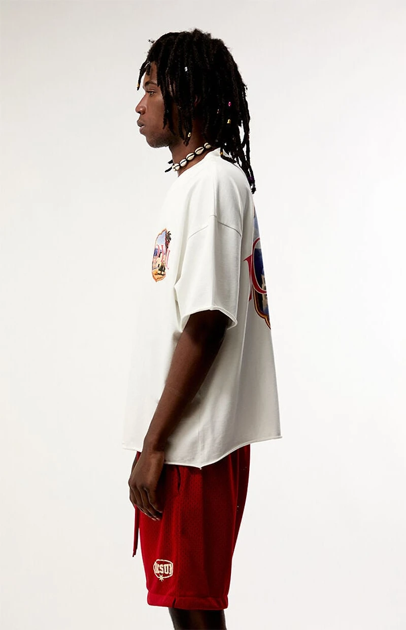 Pacsun Loyal Heavyweight Cropped T-Shirt